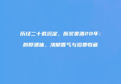 历经二十载沉淀，原浆贡酒20年：醇厚酒体、浓郁香气与珍贵收藏