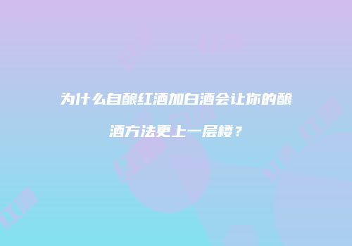 为什么自酿红酒加白酒会让你的酿酒方法更上一层楼？