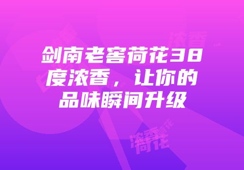 剑南老窖荷花38度浓香，让你的品味瞬间升级