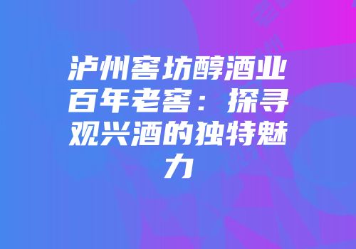 泸州窖坊醇酒业百年老窖：探寻观兴酒的独特魅力