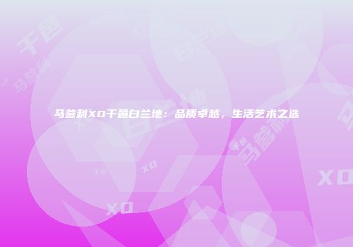 马爹利XO干邑白兰地：品质卓越，生活艺术之选