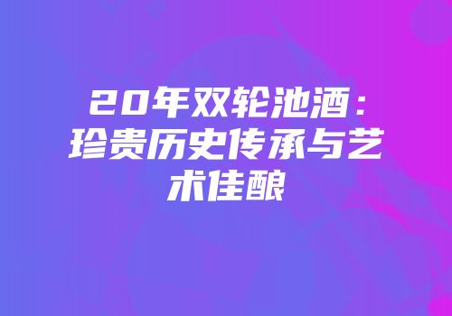 20年双轮池酒：珍贵历史传承与艺术佳酿