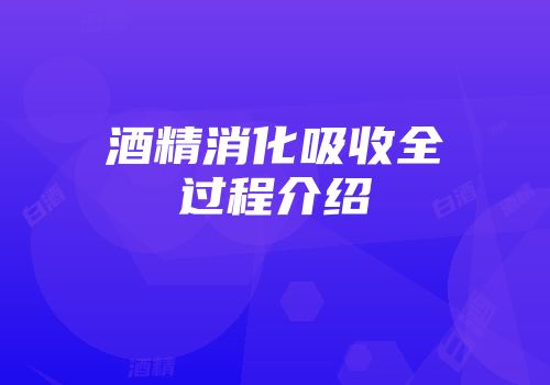酒精消化吸收全过程介绍