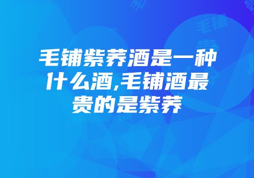 毛铺紫荞酒是一种什么酒,毛铺酒最贵的是紫荞
