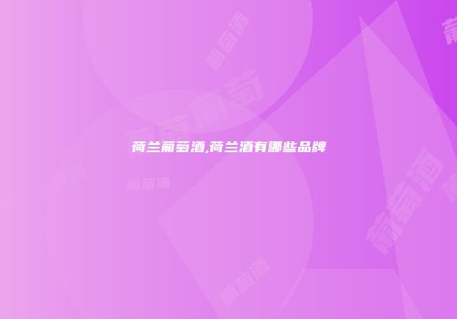 荷兰葡萄酒,荷兰酒有哪些品牌