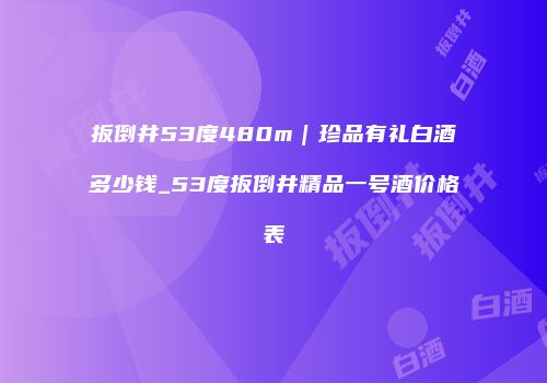 扳倒井53度480m｜珍品有礼白酒多少钱_53度扳倒井精品一号酒价格表