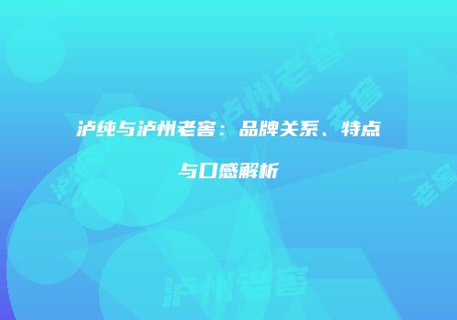 泸纯与泸州老窖：品牌关系、特点与口感解析