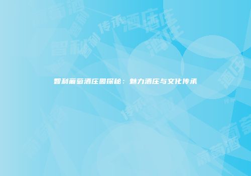 智利葡萄酒庄园探秘：魅力酒庄与文化传承