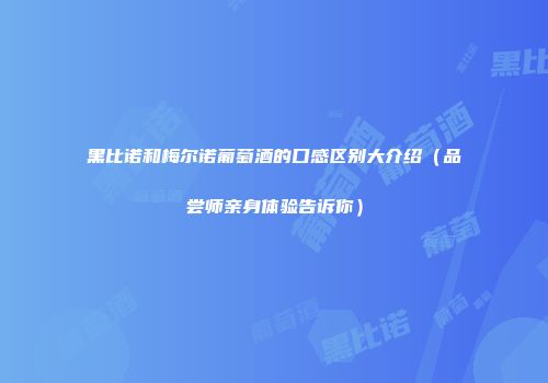 黑比诺和梅尔诺葡萄酒的口感区别大介绍（品尝师亲身体验告诉你）