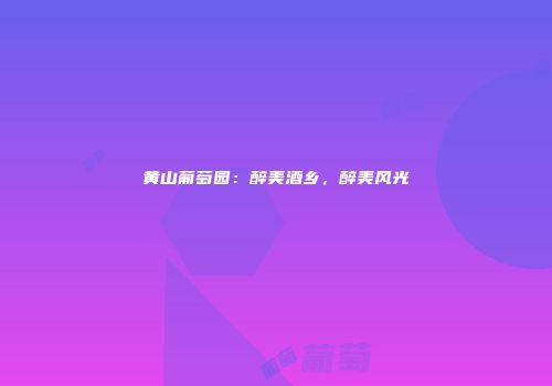 黄山葡萄园：醉美酒乡，醉美风光