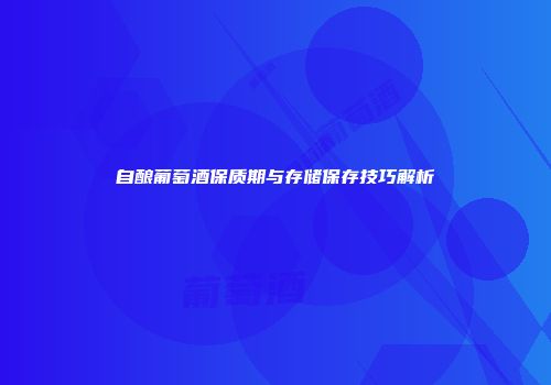 自酿葡萄酒保质期与存储保存技巧解析