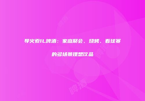 导火索1L啤酒：家庭聚会、烧烤、看球赛的多场景理想饮品