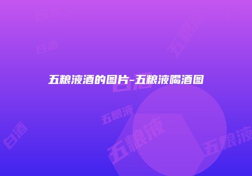 五粮液酒的图片-五粮液喝酒图