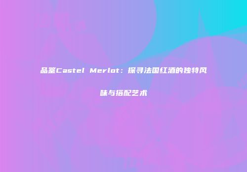 品鉴Castel Merlot：探寻法国红酒的独特风味与搭配艺术