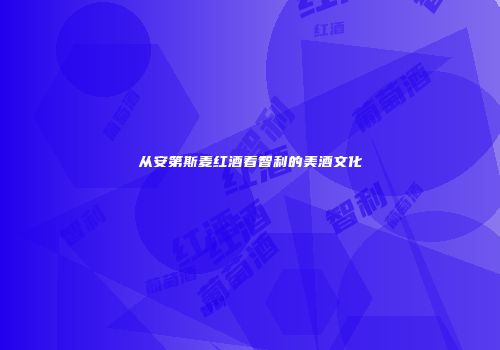 从安第斯麦红酒看智利的美酒文化