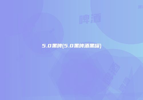5.0黑啤(5.0黑啤酒黑罐)