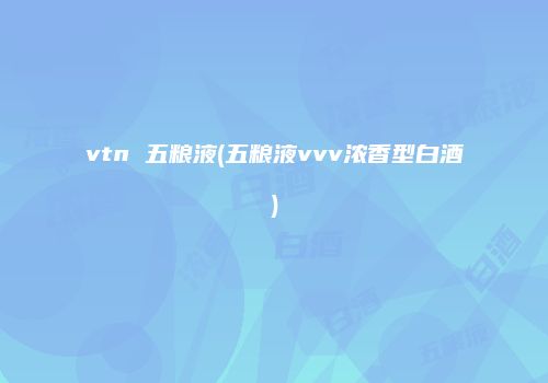 vtn 五粮液(五粮液vvv浓香型白酒)