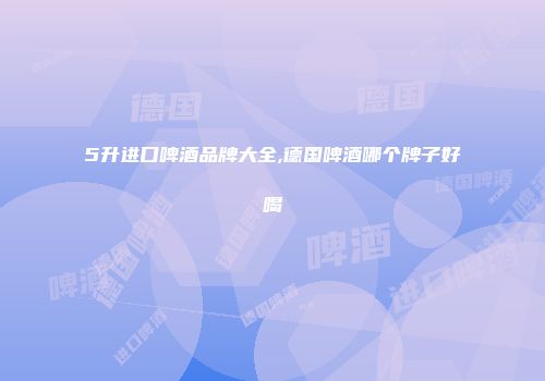 5升进口啤酒品牌大全,德国啤酒哪个牌子好喝