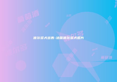 波尔多犬出售-法国波尔多犬图片