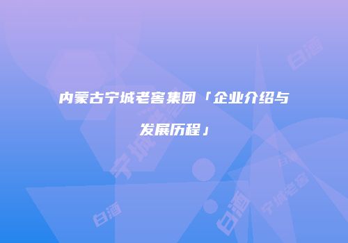 内蒙古宁城老窖集团「企业介绍与发展历程」