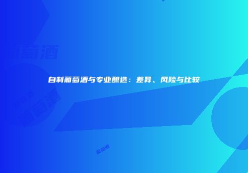 自制葡萄酒与专业酿造：差异、风险与比较