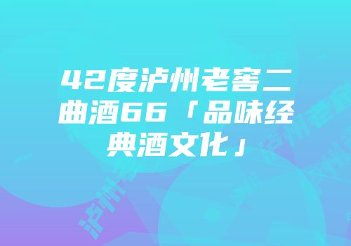 42度泸州老窖二曲酒66「品味经典酒文化」