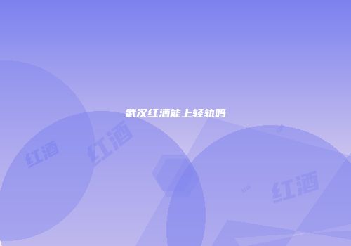 武汉红酒能上轻轨吗