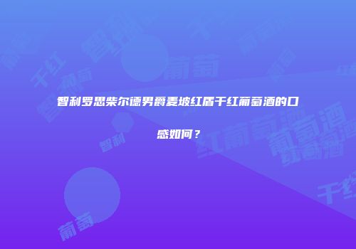 智利罗思柴尔德男爵麦坡红盾干红葡萄酒的口感如何？