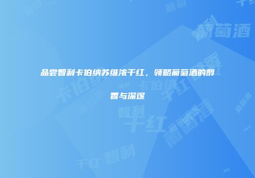 品尝智利卡伯纳苏维浓干红，领略葡萄酒的醇香与深邃