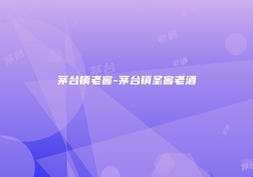 茅台镇老窖-茅台镇圣窖老酒