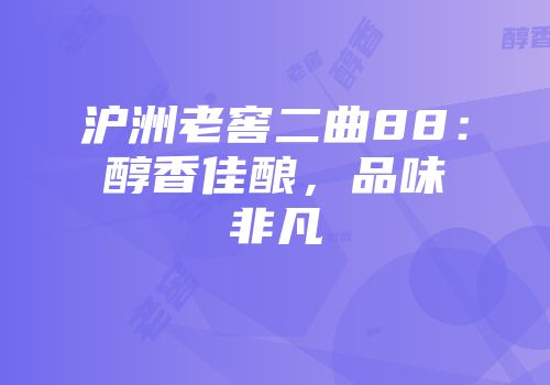 沪洲老窖二曲88：醇香佳酿，品味非凡