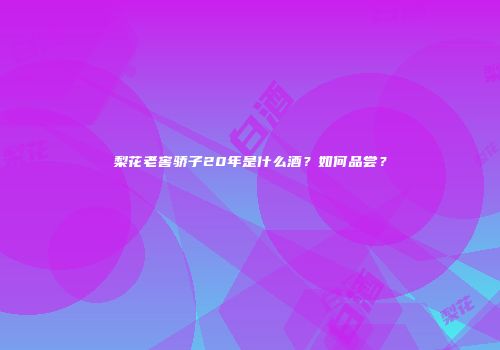 梨花老窖骄子20年是什么酒？如何品尝？