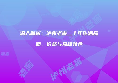 深入解析：泸州老窖二十年陈酒品质、价格与品牌特色