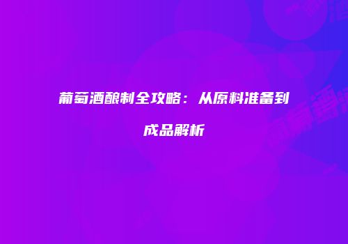葡萄酒酿制全攻略：从原料准备到成品解析