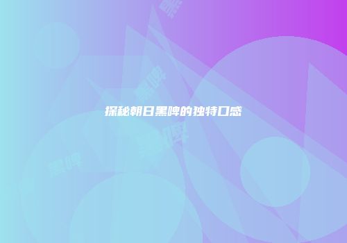 探秘朝日黑啤的独特口感