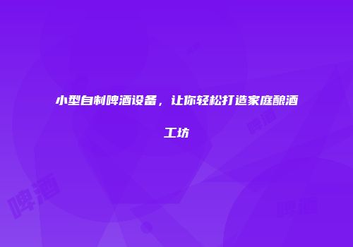 小型自制啤酒设备，让你轻松打造家庭酿酒工坊
