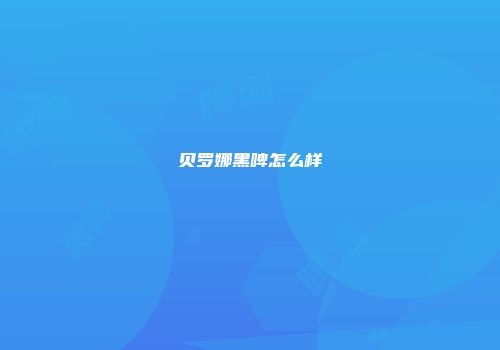 贝罗娜黑啤怎么样