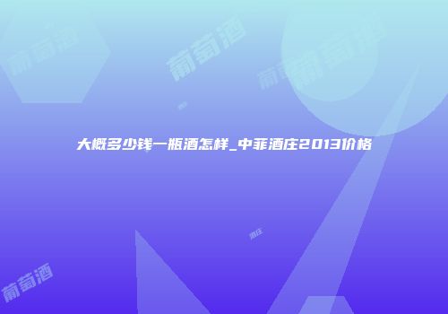 大概多少钱一瓶酒怎样_中菲酒庄2013价格