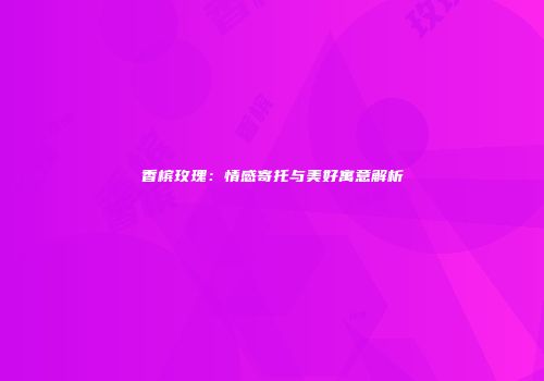 香槟玫瑰：情感寄托与美好寓意解析