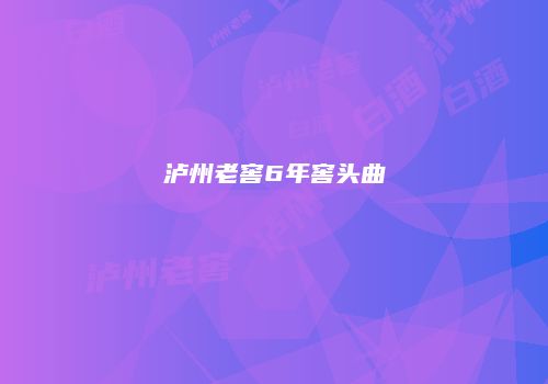泸州老窖6年窖头曲