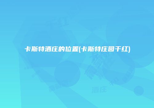 卡斯特酒庄的位置(卡斯特庄园干红)