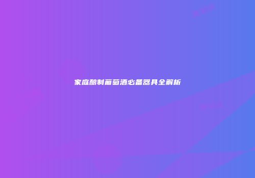 家庭酿制葡萄酒必备器具全解析