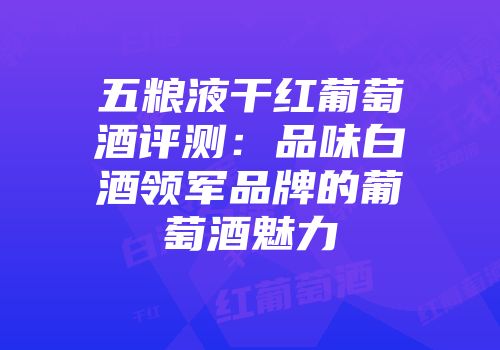 五粮液干红葡萄酒评测：品味白酒领军品牌的葡萄酒魅力