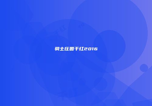 骑士庄园干红2016