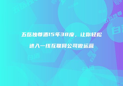 五岳独尊酒15年38度，让你轻松进入一线互联网公司做运营