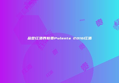 品尝红酒界新贵Pulenta 2016红酒