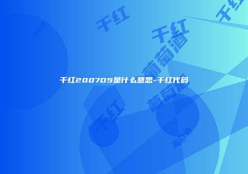 干红2007DS是什么意思-干红代码
