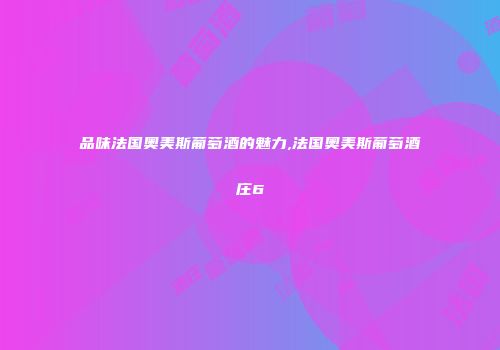 品味法国奥美斯葡萄酒的魅力,法国奥美斯葡萄酒庄6