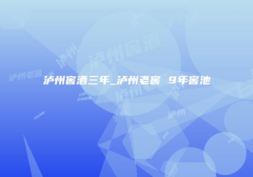 泸州窖酒三年_泸州老窖 9年窖池