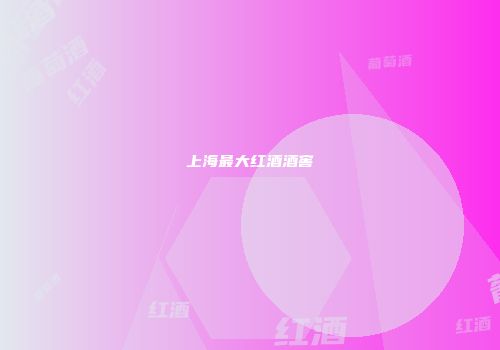 上海最大红酒酒窖